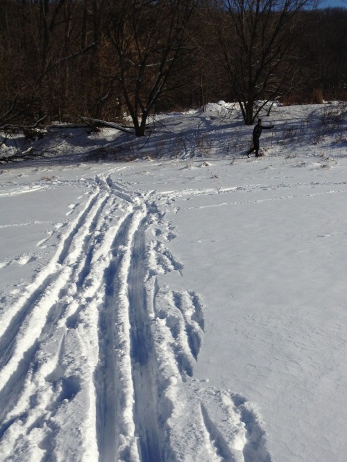 XC Skiing January '14 -2