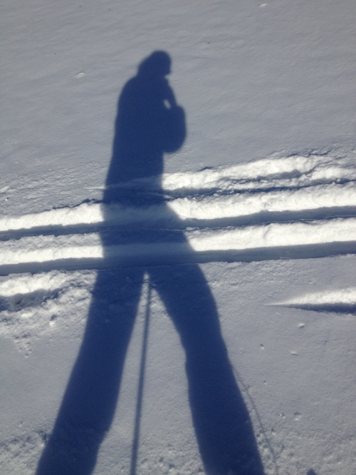 XC Skiing January '14 -4