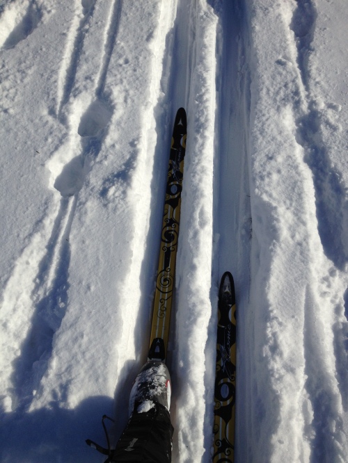 XC Skiing January '14
